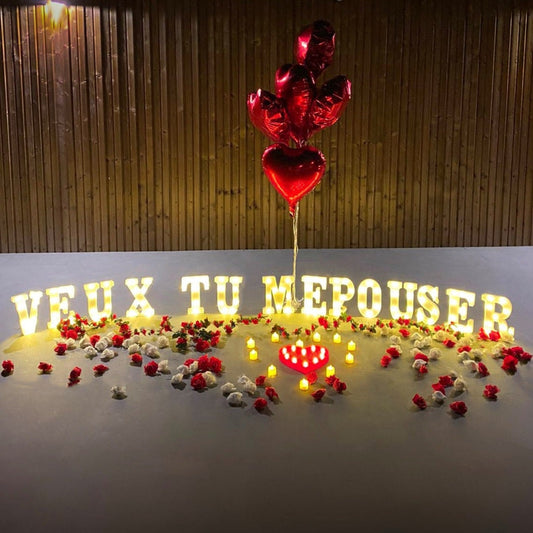 I Love You 💝- "MARRY ME"/"VEUX-TU M'ÉPOUSER" en lettres lumineuses avec décoration romantique