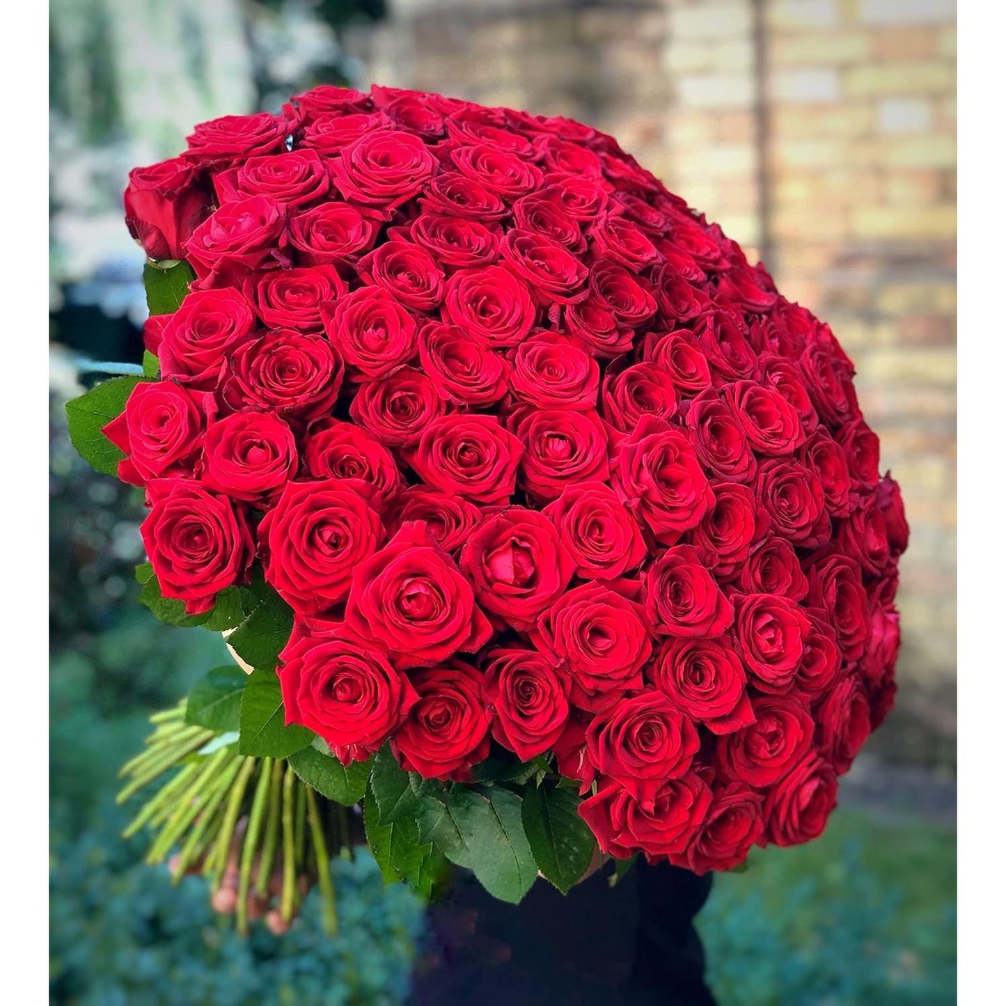 Bouquet de fleurs 💐