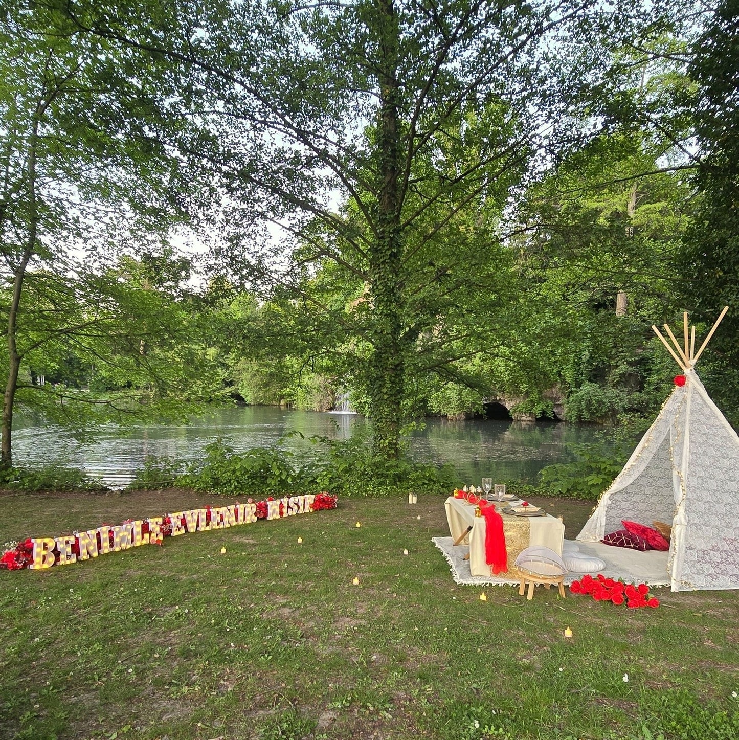 🌳 Pique-nique romantique sur l'herbe