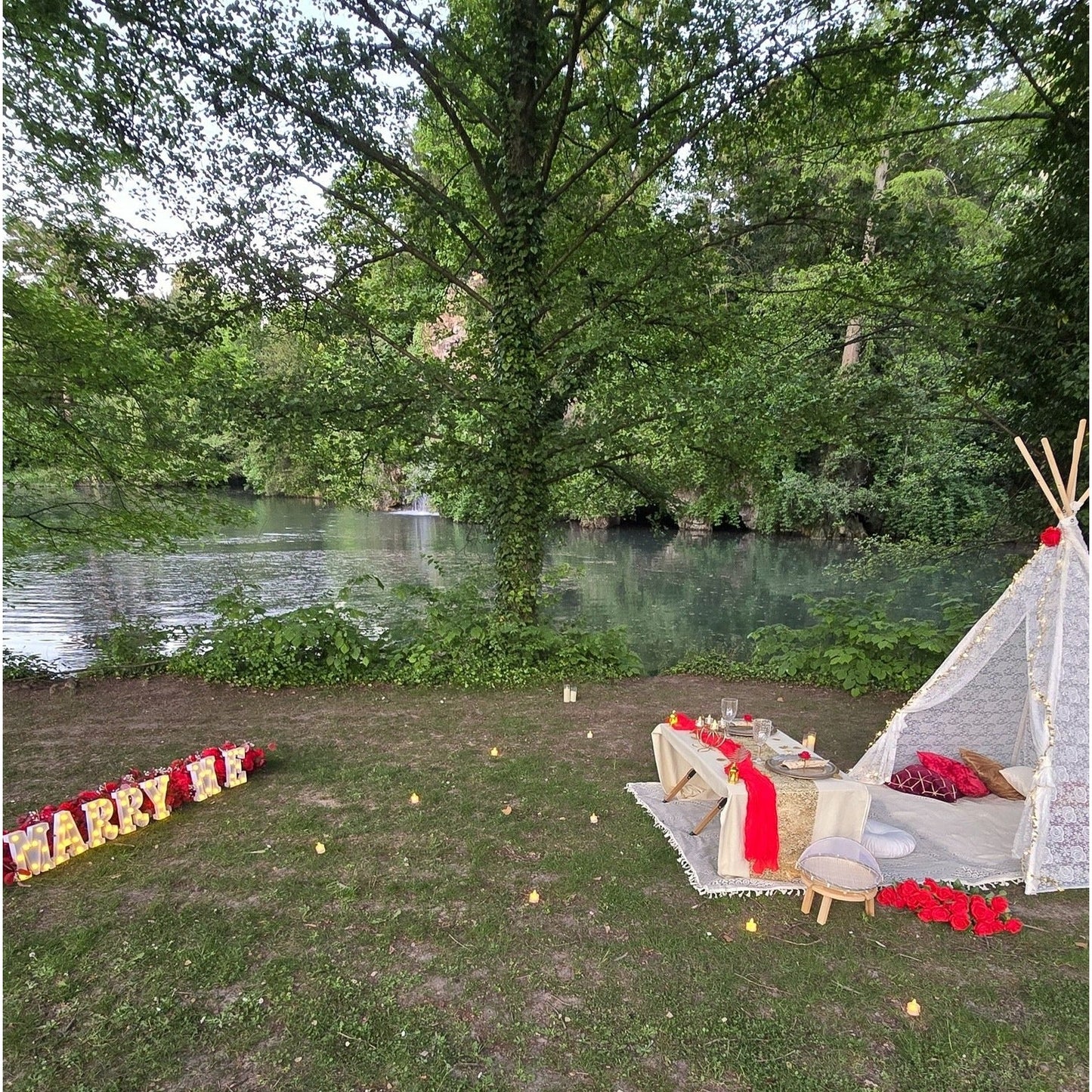 🌳 Pique-nique romantique sur l'herbe