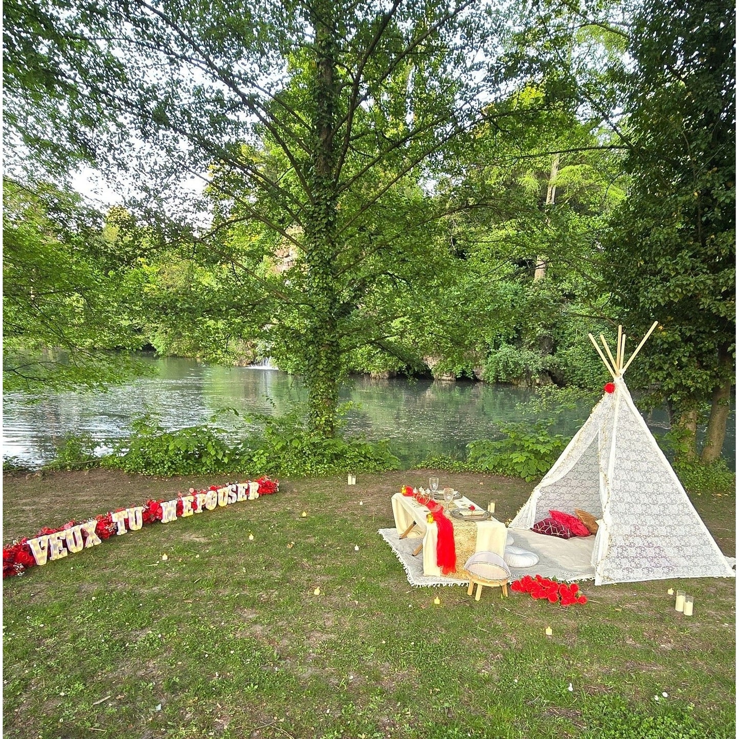 🌳 Pique-nique romantique sur l'herbe
