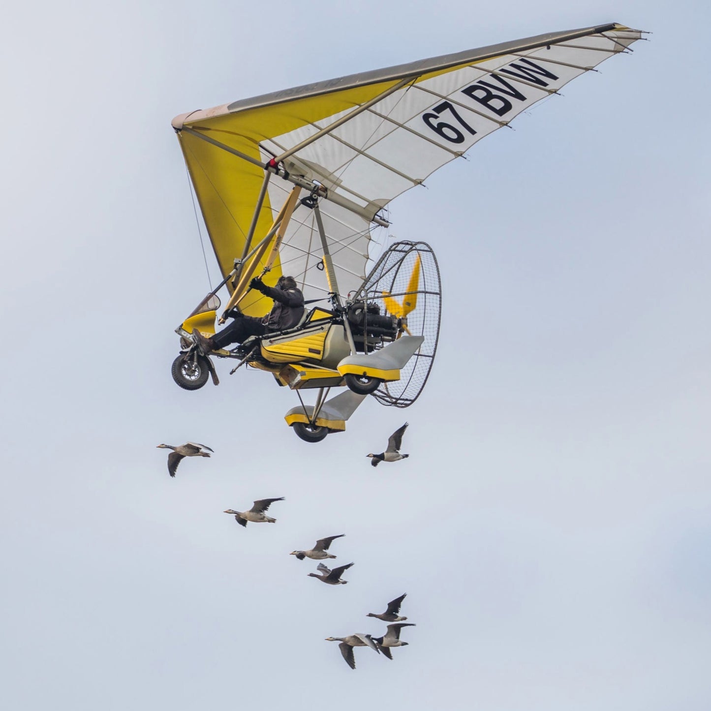 🛩 En Ulm avec "MARRY ME" en lettres géantes sur le sol