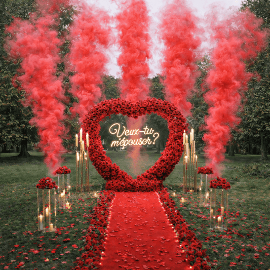 Des feux d'artifices colorés de jour ou de nuit 🎆