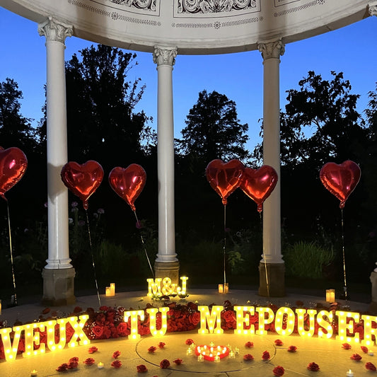 💝 Love You : "MARRY ME"/"VEUX-TU M'ÉPOUSER"/"BENIMLE EVLENIR MISIN"/"WILLST DU MICH HEIRATEN" en lettres lumineuses avec décoration romantique