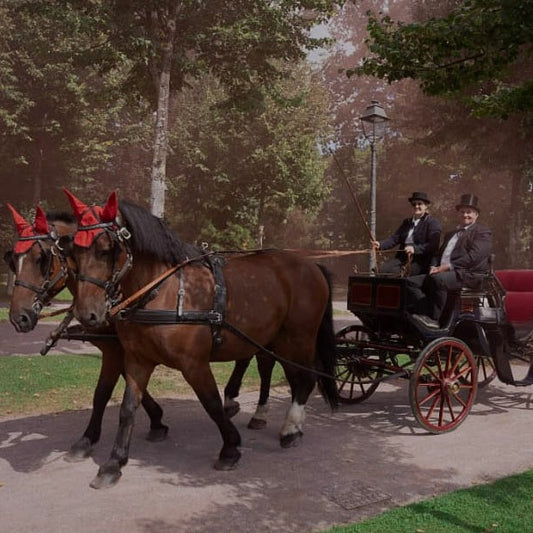 Une arrivée en calèche 🐴